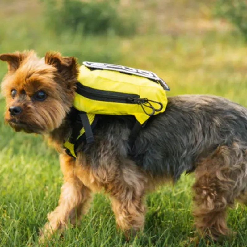 K9 Sport, Walk-On with Harness & Storage [Backpack]