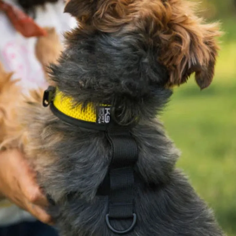 K9 Sport, Walk-On with Harness & Storage [Backpack]